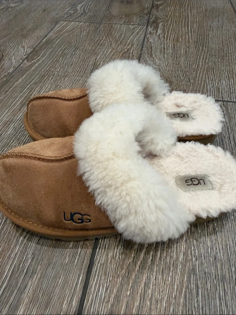 UGG suede clogs